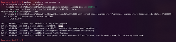 Image for 'Minimal self-updating NixOS Flake built for Proxmox LXC .tar.gz stored in Forgejo'